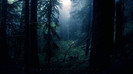 wallpaper-815143