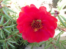 DSCF7389