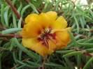 DSCF7392