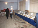 sfinx 086