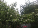 27052012