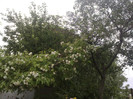 27052012