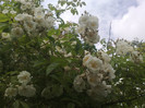 28052012