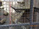 DSCN0793