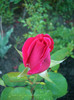CIMG5346