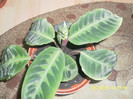 SAM_4060