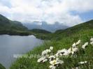 images (26)