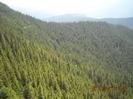 images (29)