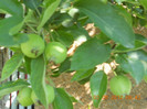 DSCN1272