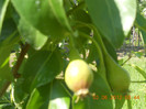 DSCN1277