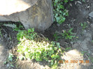 DSCN1257