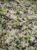 DSCN1246