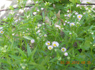 DSCN1248