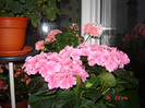 DSC03820