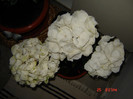DSC03821