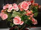 DSC03822