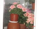 DSC03825