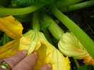 P1020023