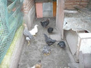 P1020030