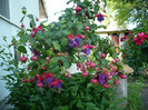 P1020035