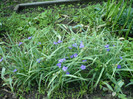 P1020050