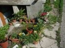 P1020059