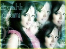 YH7jJ-tile