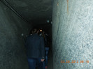 DSCN0779