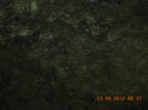 DSCN0809