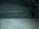 DSCN0836