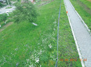 DSCN0853