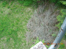 DSCN0877