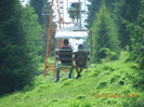 DSCN0878