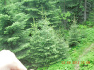 DSCN0879