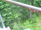 DSCN0880