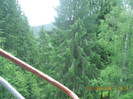 DSCN0882
