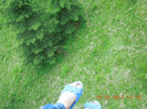 DSCN0884