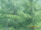 DSCN0887