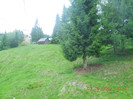 DSCN0896
