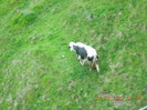 DSCN0900