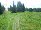 DSCN0911