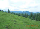 DSCN0919
