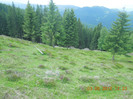 DSCN0922
