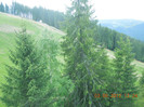 DSCN0925