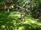 P6030133