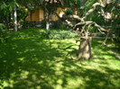 P6030132