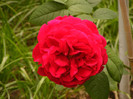 L.D.Braithwaithe
