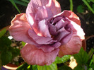 P1140332