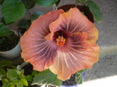 P1140347