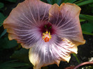 P1140360